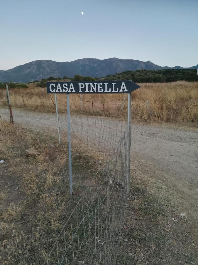 Willa Casa Pinella Villamassargia Zewnętrze zdjęcie